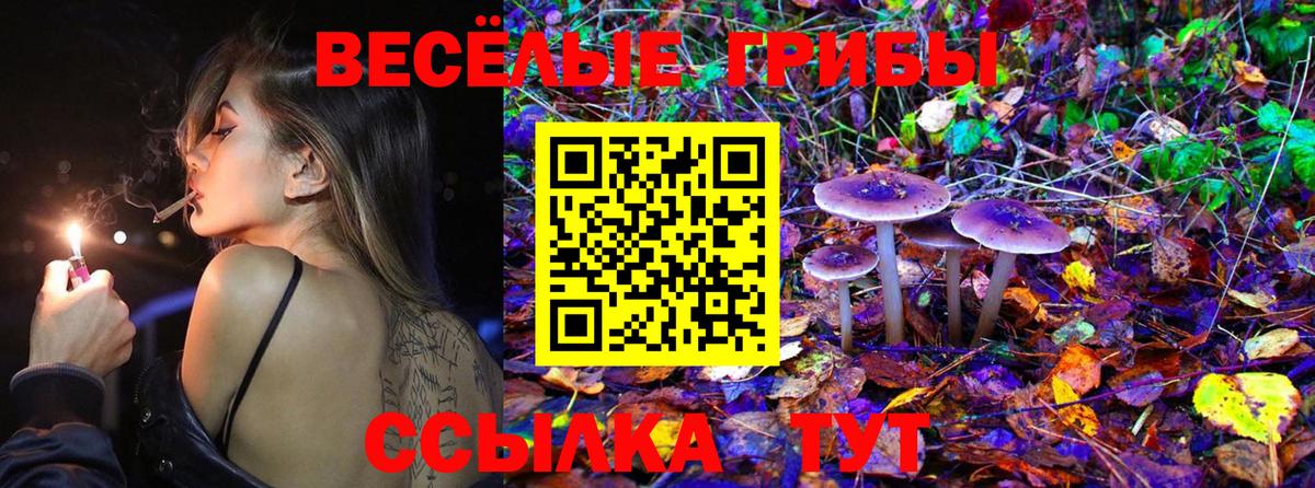Псилоцибиновые грибы ЛСД  Вход с VPN  как найти закладки  Видное 